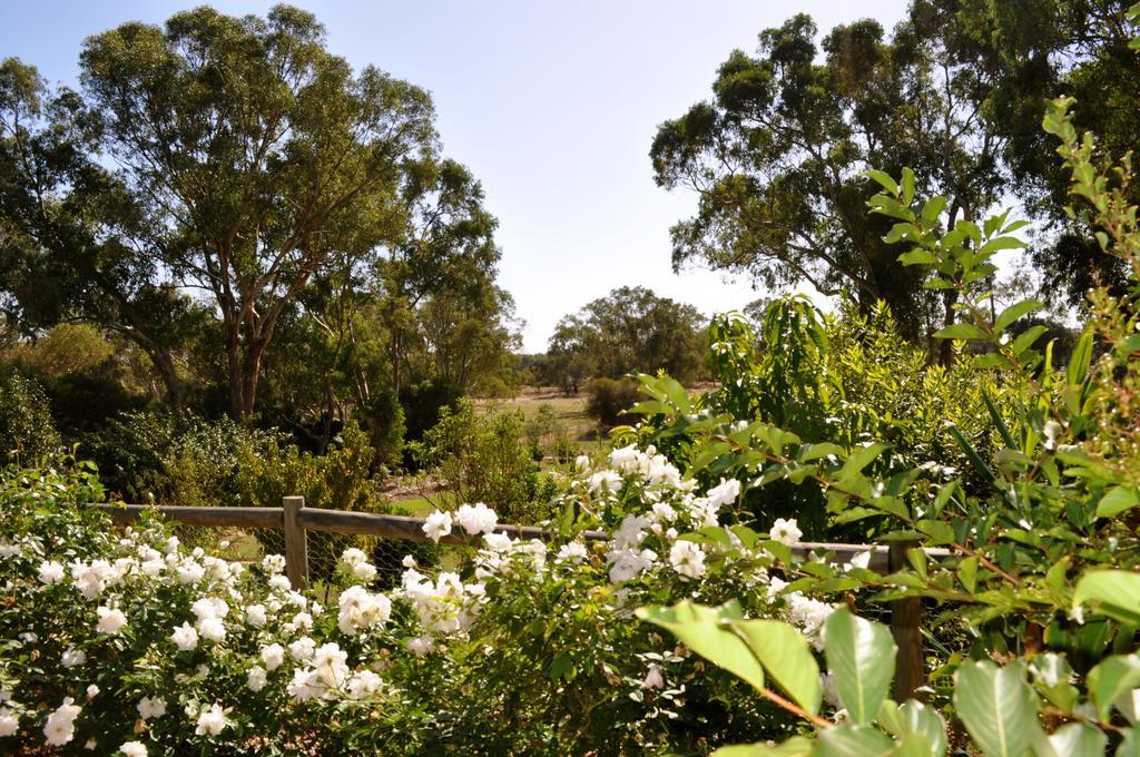 Guildford River Retreat بيرث المظهر الخارجي الصورة